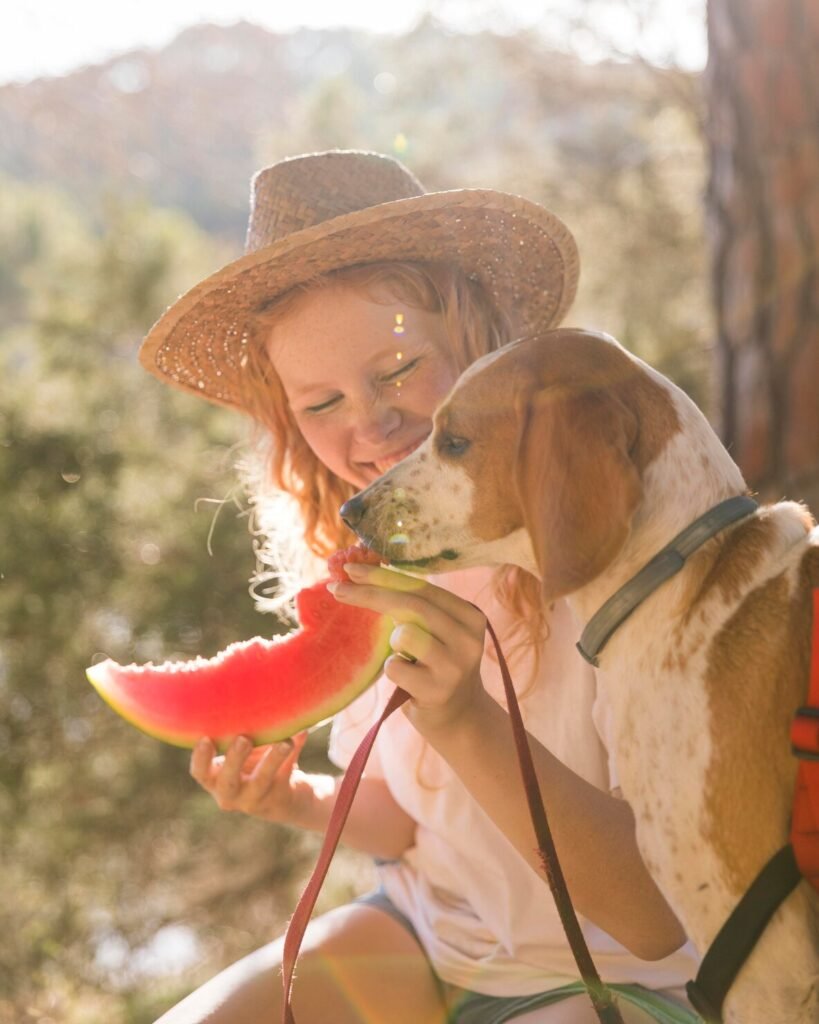 Can Dogs Eat Watermelon